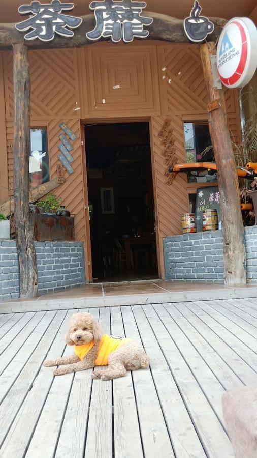Dengfeng Climb International Youth Hostel Екстер'єр фото